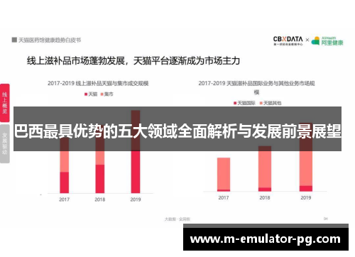 巴西最具优势的五大领域全面解析与发展前景展望