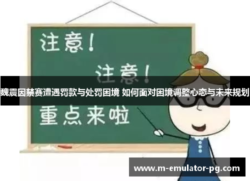 魏震因禁赛遭遇罚款与处罚困境 如何面对困境调整心态与未来规划