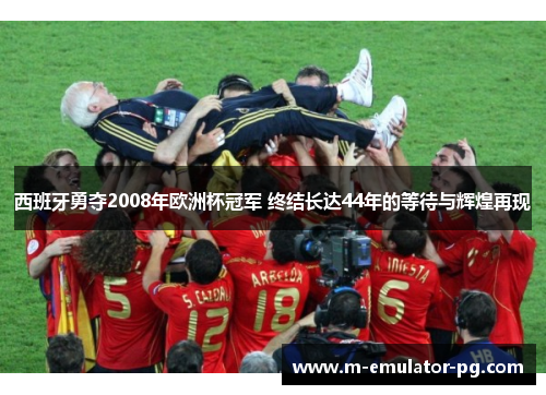 西班牙勇夺2008年欧洲杯冠军 终结长达44年的等待与辉煌再现