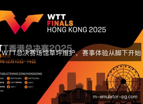 WTT总决赛场馆草坪维护，赛事体验从脚下开始