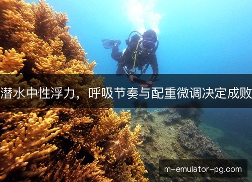 潜水中性浮力，呼吸节奏与配重微调决定成败